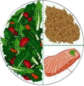 balanced macro-nutrients feed a healthy diet-brain connection