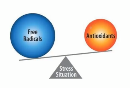 Heart Health is threatened by an imbalance of free radicals