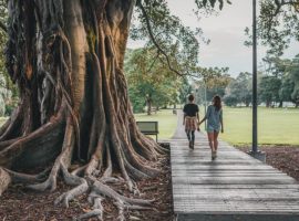 Being in nature - a primary rule for better health