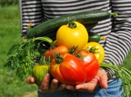 armload of garden vegetables