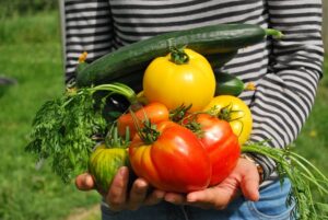 armload of garden vegetables